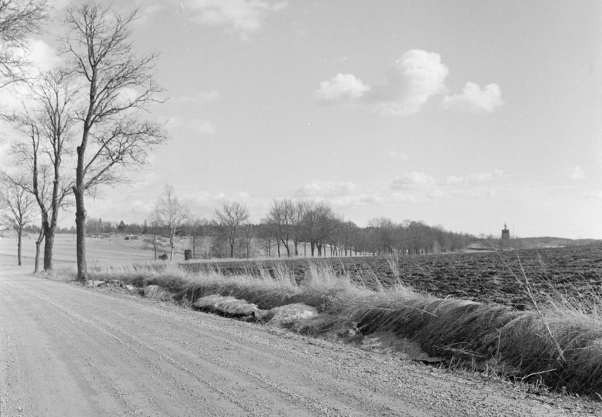 Bilden föreställer allén. Bilden är svartvit och är tagen på 1960-talet.