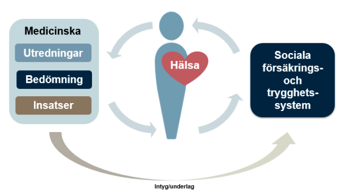 Visualisering av hälso- och sjukvårdens försäkringsmedicinska arbete
