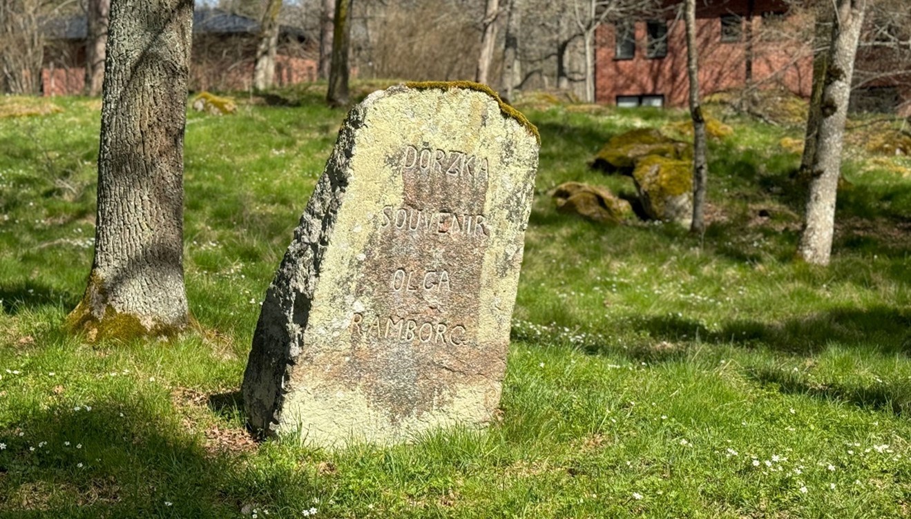 Bilden föreställer en runsten omgiven av gräs och träd.