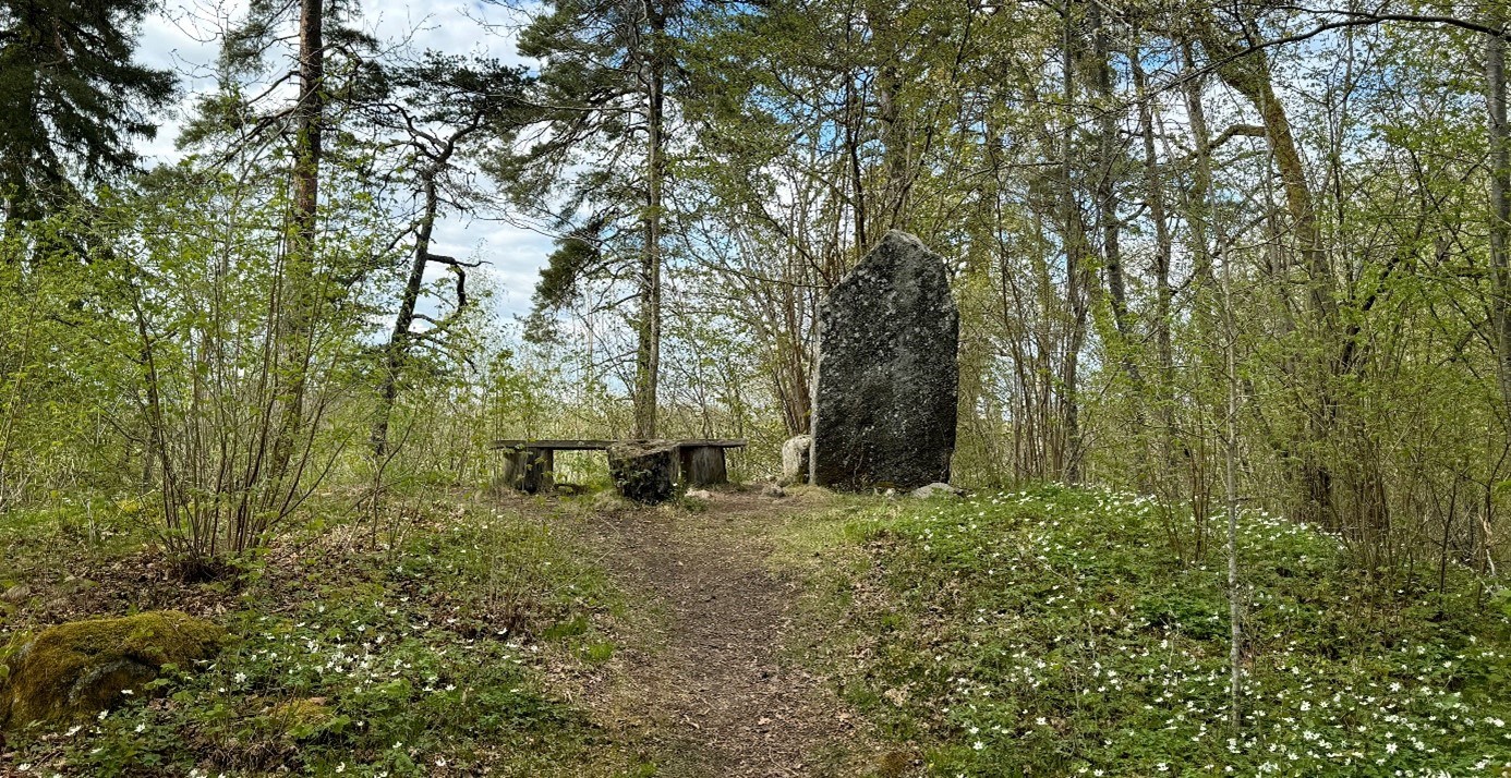 Bilden föreställer en runsten omgiven av skog.