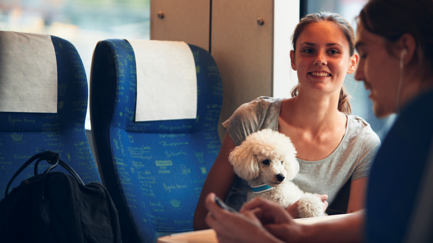 Två personer och en liten hund på tåg