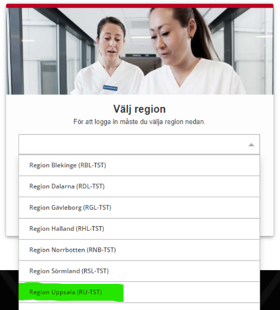 Inlogg användarportalen.png