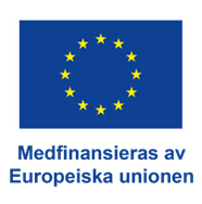 Logga EU medfinansieras av europeiska unionen.
