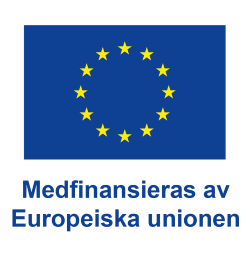 Logga Europeiska unionen, medfinansieras av europeiska unionen