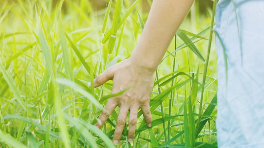 Kvinna som drar sin hand genom högt gräa