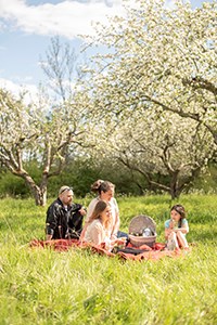 Wik_picknick (1).jpg